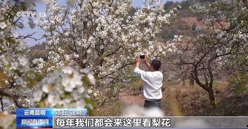 国内春色在线视频观看,国内春色在线视频盛宴盘点