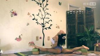 女子柔术家中在线视频,解锁柔术技巧的奥秘之旅