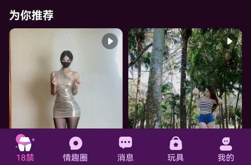 成人18禁在线视频,揭秘在线视频的隐秘世界
